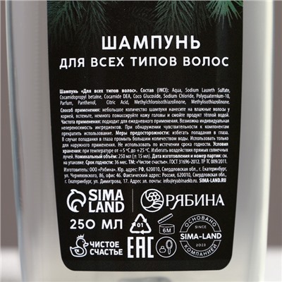 Подарочный набор новогодний ЧИСТОЕ СЧАСТЬЕ «Будь лучшим»: гель для душа и шампунь для волос, 2х250 мл