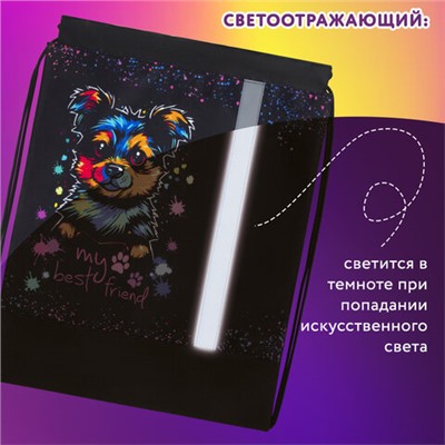Мешок для обуви ЮНЛАНДИЯ, плотный, светоотражающая полоса, 46х36 см, "True friend", 272410