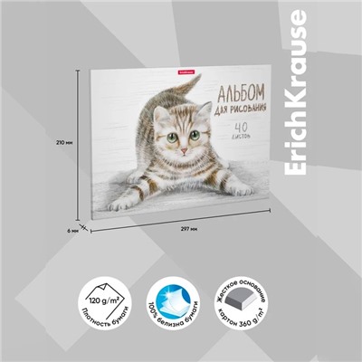 Альбом для рисования А4, 40 листов, блок 120 г/м², на клею, Erich Krause "Tabby", 100% белизна, твердая подложка