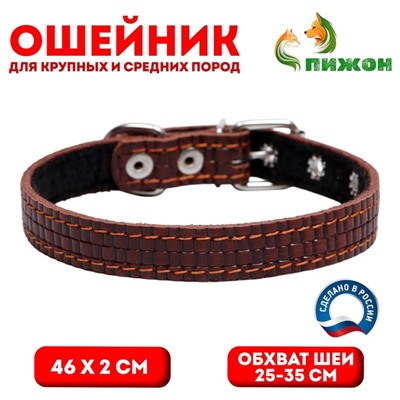 Ошейник кожаный с тиснением на синтепоне, 46 х 2 см, ОШ 25-35 см, коричневый
