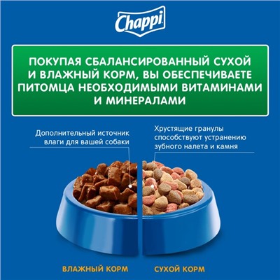 Влажный корм Chappi для собак, с говядиной, пауч, 85 г