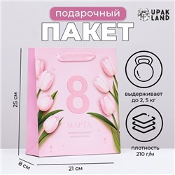 Пакет ламинированный вертикальный "Женский день", 21 х 25 х 8 см