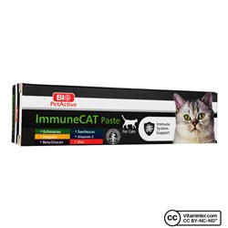 Паста для кошек Bio PetActive Immunecat 100 мл