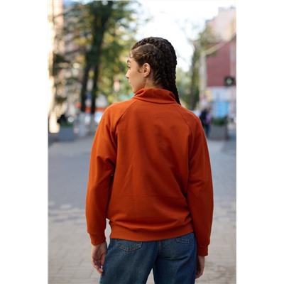толстовка 3530-36 -50%