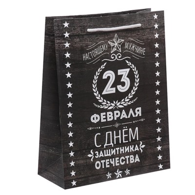 Пакет подарочный ламинированный вертикальный, упаковка, «С 23 февраля», MS 18 х 23 х 10 см