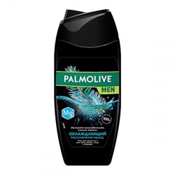 Гель для душа охлаждающий Palmolive (Палмолив) Мужской Расслабление мышц 4 в 1, 250 мл