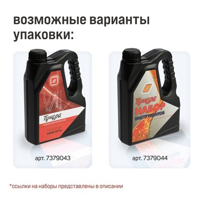 Набор инструментов ТУНДРА, подарочный пластиковый кейс «Канистра», 21 предмет