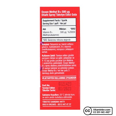 Ocean Methyl B12 500 мкг 5 мл спрей