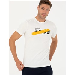 Ekru Slim Fit T -For