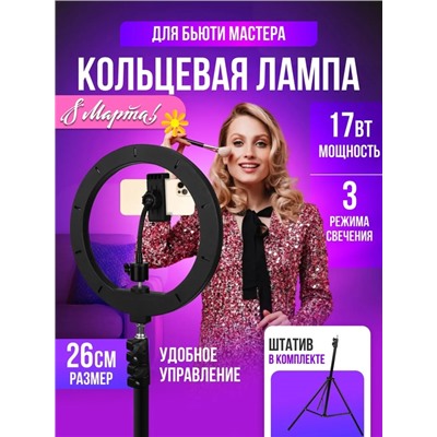 Комплект кругового светодиодного светильника с подсветкой 26см 22.02.