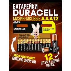 Батарейки Duracell Basic мизинчиковые АА- ААA LR03 (12 штук в упаковке) 22.02.