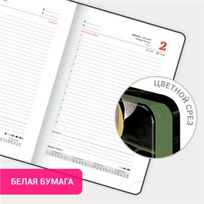 Ежедневник датированный 2025 А5 138x213 мм, BRAUBERG "Vista", под кожу твердый, "Листья", 115877
