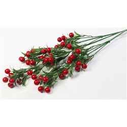 Ветка с крупными красными ягодами