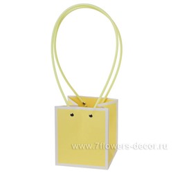 Набор сумок с ламинацией (картон) "Полоса", 11,5x10,5xH13 см (10шт)