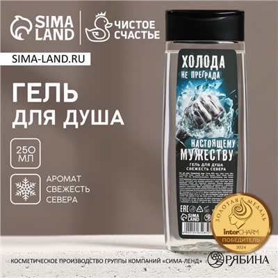Гель для душа «Холода - не преграда», 250 мл, аромат свежести, Чистое счастье