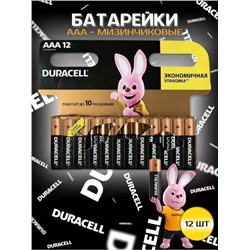 Батарейки Duracell Basic мизинчиковые АА- ААA LR03 (12 штук в упаковке) 22.02.