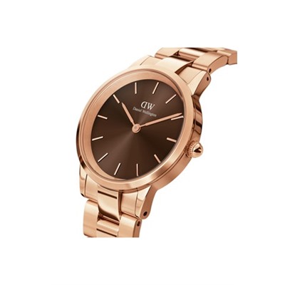 Reloj de cuarzo de acero y chapado en oro rosa Link Amber 36