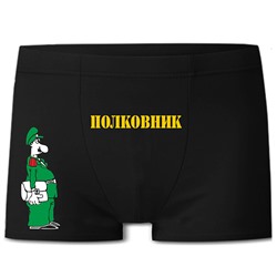 Трусы мужские "Полковник" армия