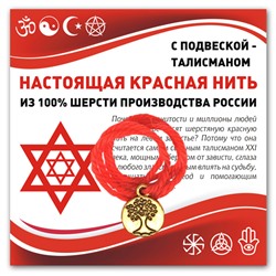 KN344 Красная нить Дерево жизни (защита и развитие)