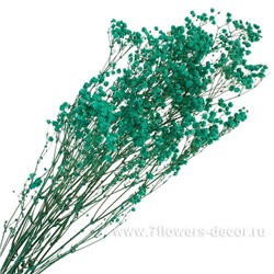 Набор гипсофилы стабилизированный, 50-55 см, (60 гр)