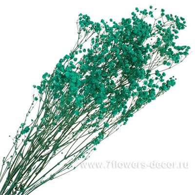 Набор гипсофилы стабилизированный, 50-55 см, (60 гр)