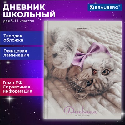 Дневник 5-11 класс 48 л., твердый, BRAUBERG, глянцевая ламинация, с подсказом, Котик, 107188