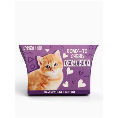 Чай подарочный чёрный «Особенному», вкус: мята, 20 г.