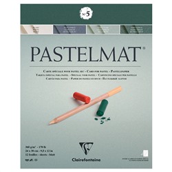 Альбом для пастели, 12л., 240*300мм, на склейке Clairefontaine "Pastelmat", 360г/м2, бархат, цв. блок