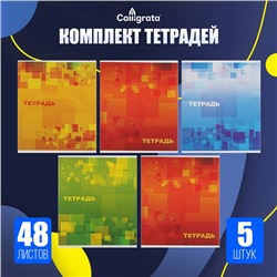 Комплект тетрадей из 5 штук, 48 листов в клетку Calligrata "Графика", серые листы