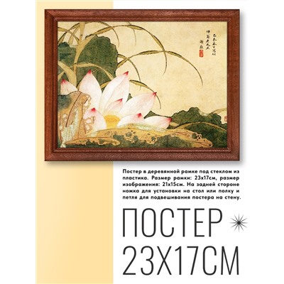 POSG-0171 Постер в рамке 23x17см Xie Sun - Лотос