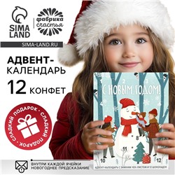 Адвент-календарь новогодний «Зимний чек-лист», с шоколадом, 5 гр 12 шт