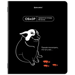 Тетрадь предметная МЕМЫ 48 л., TWIN-лак, ОБиЗР, клетка, подсказ, BRAUBERG, 405108