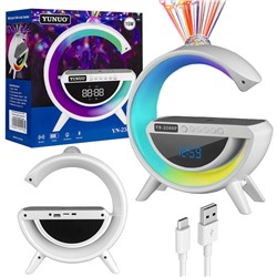Портативная акустика RGB с беспроводной зарядкой YN-2388P (белый)