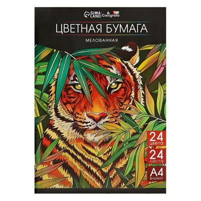 Бумага цветная А4, 24 листа, 24 цвета, мелованная 80 г/м2, на скобе