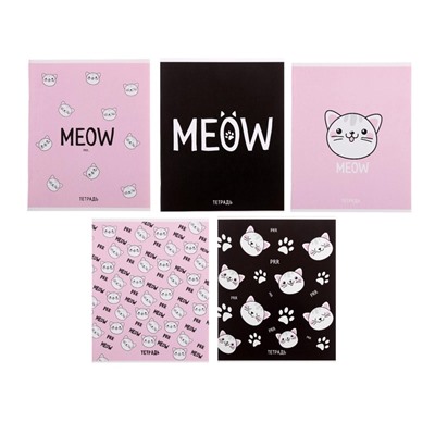 Тетрадь 48 листов в клетку, Calligrata Meow, обложка мелованный картон, МИКС