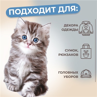 Термотрансфер «Котёнок», 11,6 × 19 см, цена за 1 лист