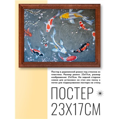 POSG-0199 Постер в рамке 23x17см Карпы кои