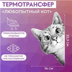 Термотрансфер «Любопытный кот», 14 × 22,3 см, цена за 1 штуку