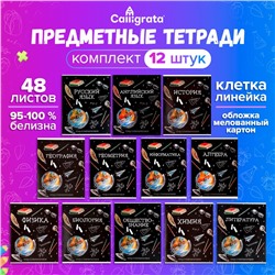 Набор предметных тетрадей 48 листов, Calligrata «Доска», 12 предметов