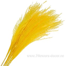 Набор ковыля, H60 см, (10 шт)