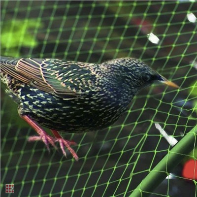 Сетка от птиц с Мелкой ячейкой "GB NET" 3х5м,раз.ячей. 20х15мм