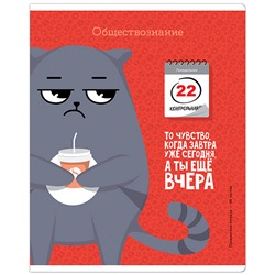 Тетрадь предметная 48л. ArtSpace "Котоцинизм" - Обществознание, ТВИН-лак