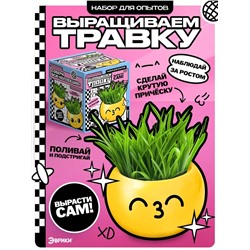 Набор для опытов, для детей «Выращиваем травку», растение в горшочке - эмодзи «Поцелуйчик»