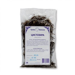 Цистозира бородатая (водоросль)