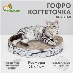 Гофрокогтеточка "Пижон" высокая круглая "Спил березы", с пропиткой, 28 х 4 см