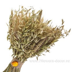 Букет из колосовых культур (пшеница, чумиза, овёс, бессмертник)