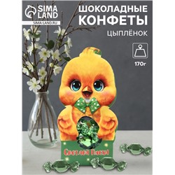 Конфеты шоколадные «Цыпленок», 170 г