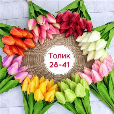 ТЮЛЬПАН   40см