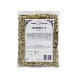 Эвкалипт (эвкалипта круглого листья)