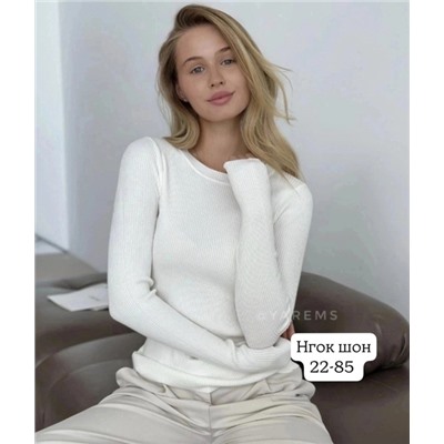 водолазка 11.01.